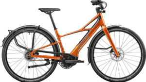 CANNONDALE FLYINGV 2 / LARGE / 2026